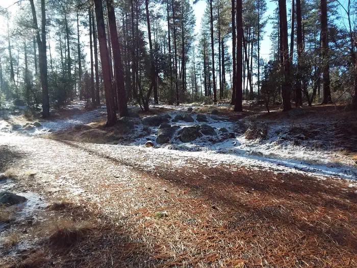 White Spar Campground