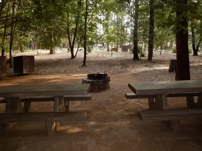 Schoolhouse Campground (ca)