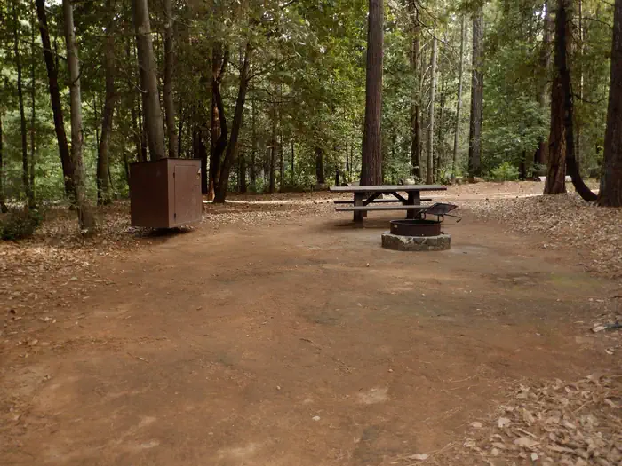 Schoolhouse Campground (ca)