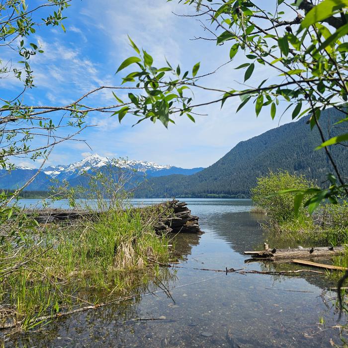 Bayview Campground (mt. Baker-snoqualmie National Forest, Wa)