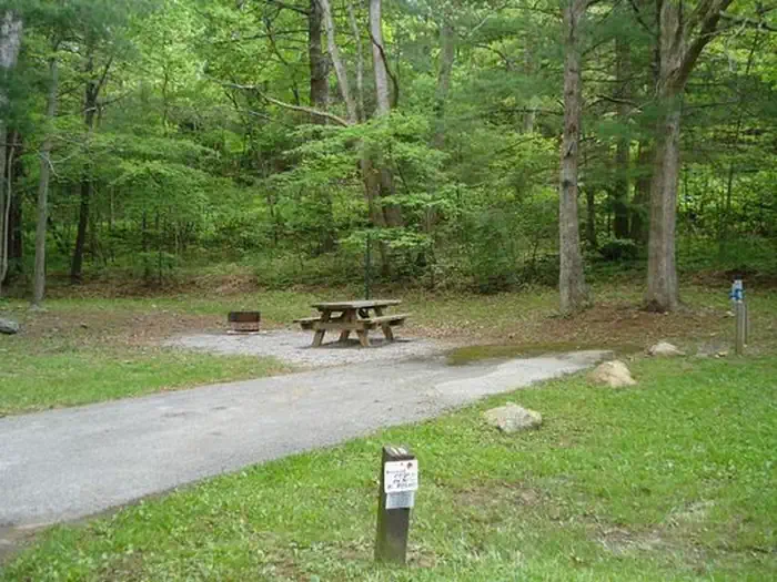 Raccoon Branch Campground