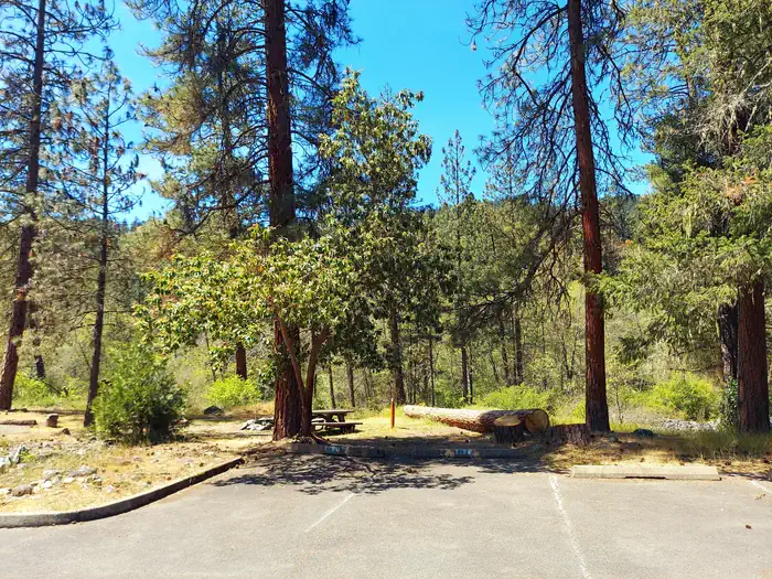 Jackson Campground On The Applegate River