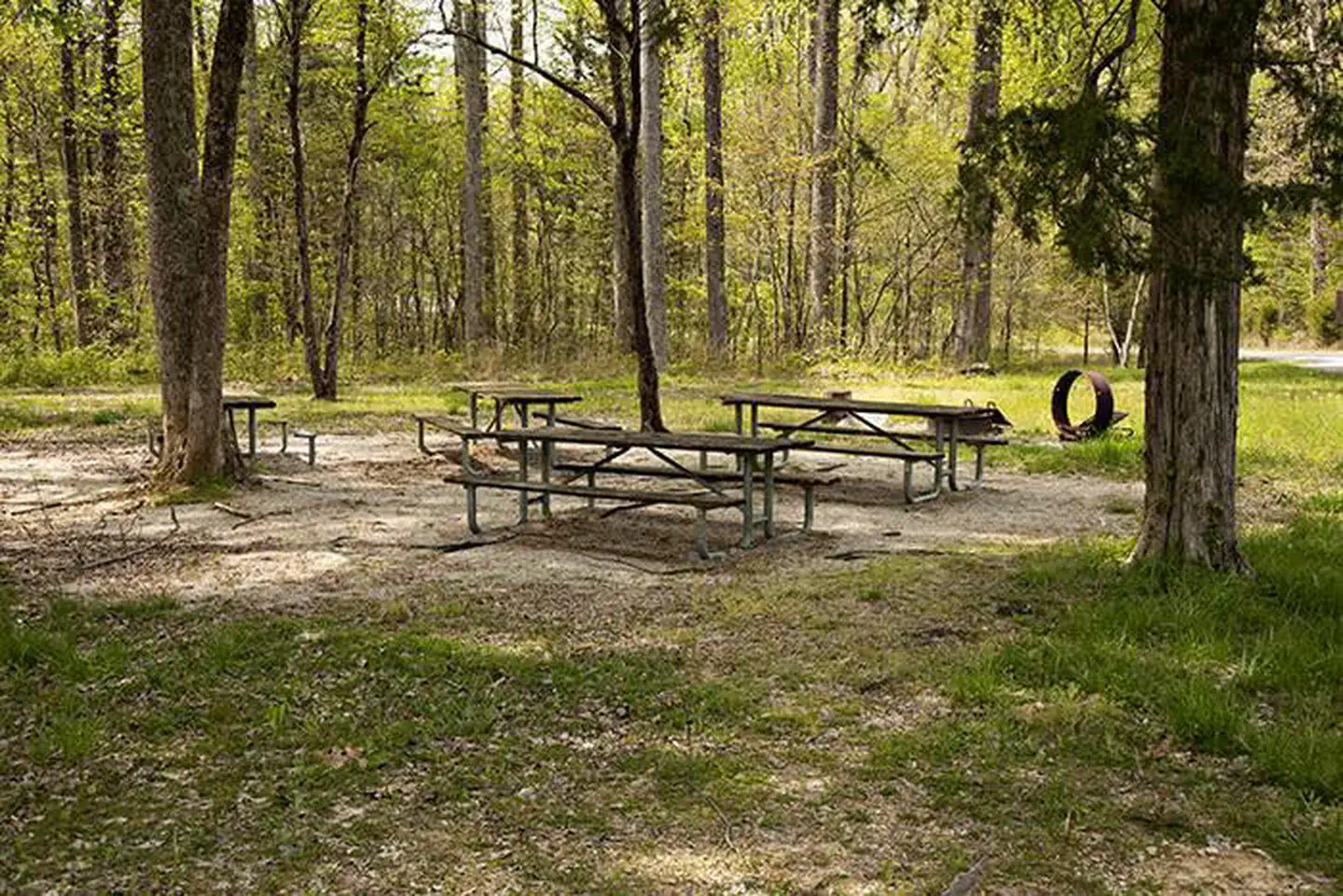 Maple Springs