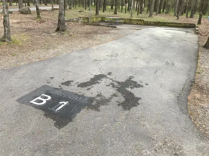 Devils Fork