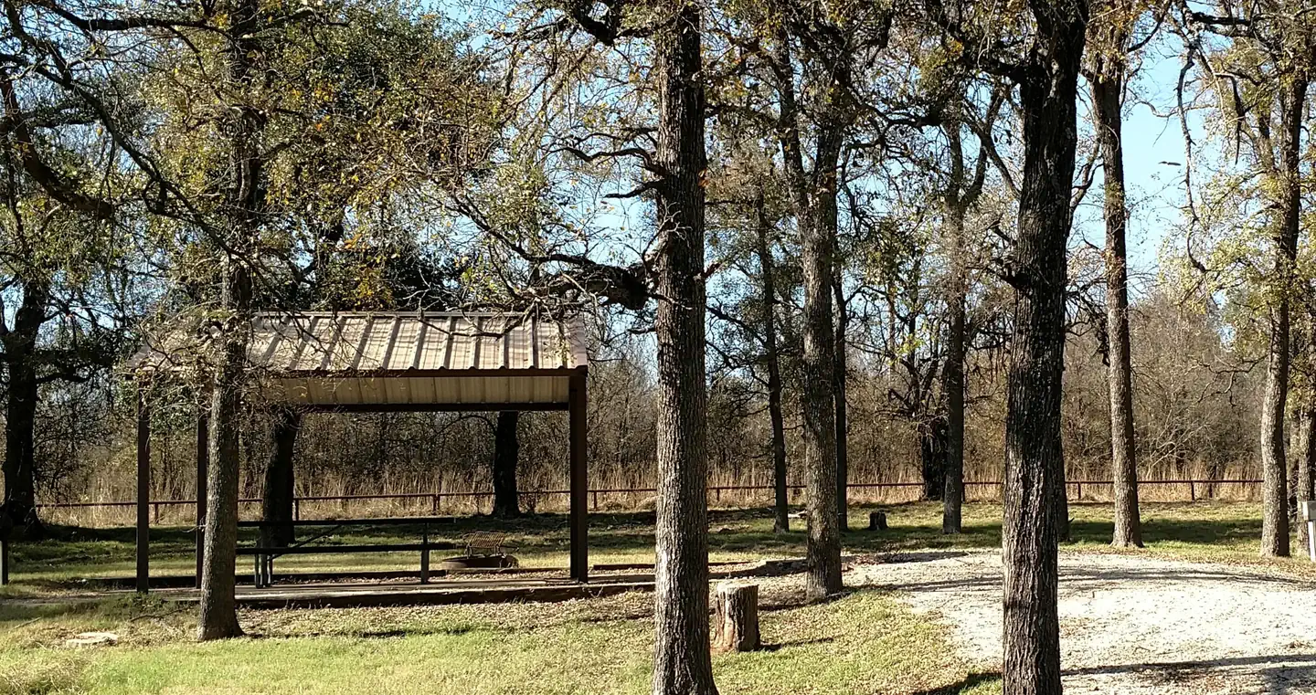 Plowman Creek