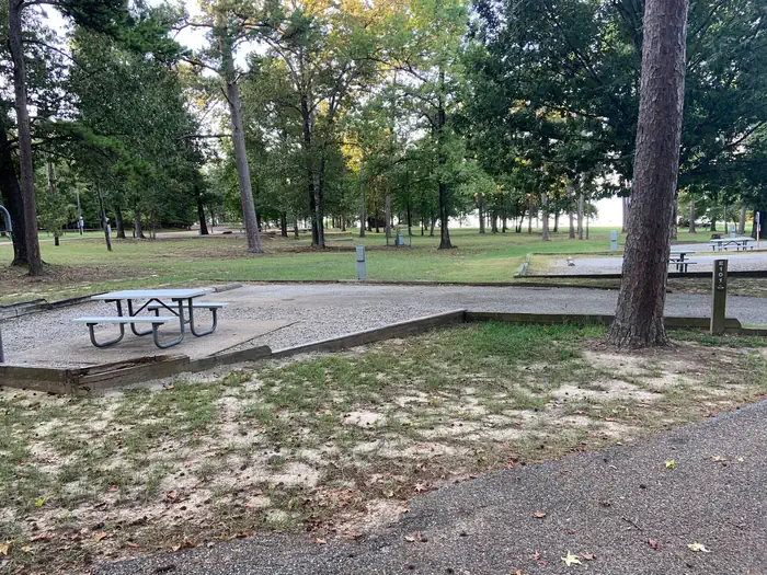 E101