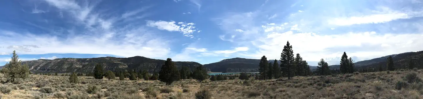 Orange Olsen Dwelling