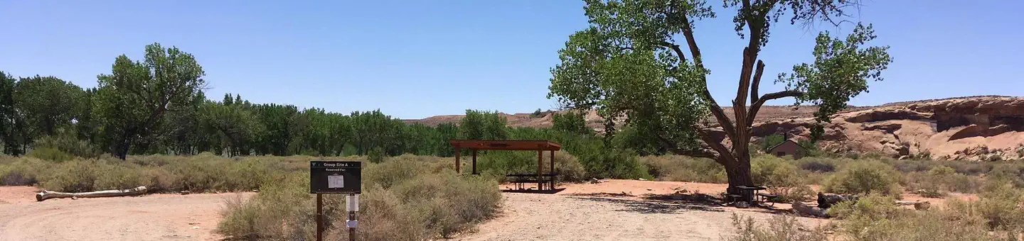 Group Site A