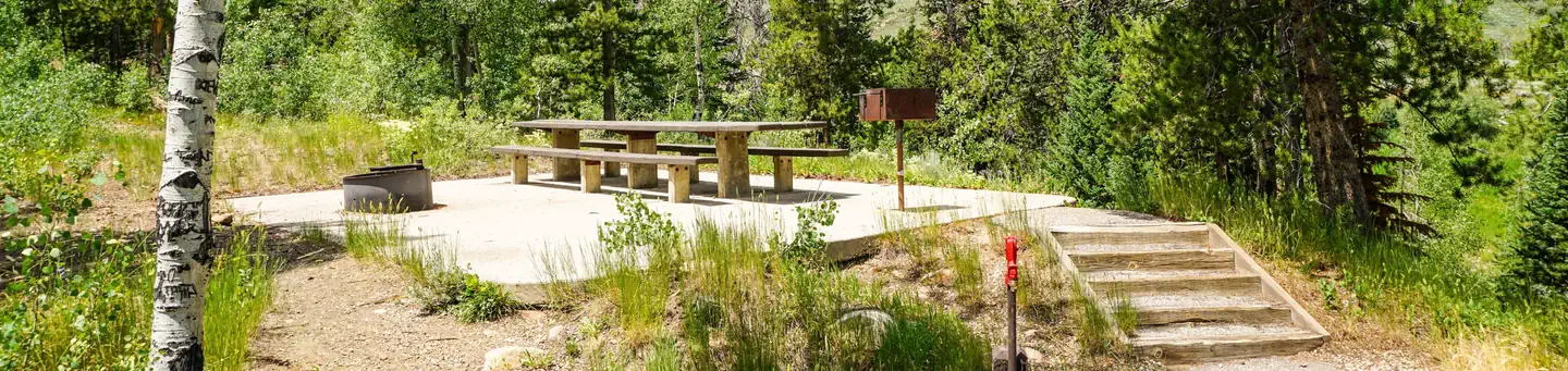 Currant Creek