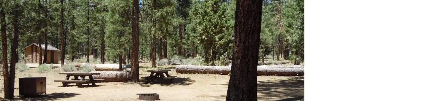 Heart Bar Campground