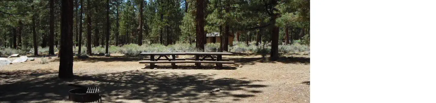 Heart Bar Campground