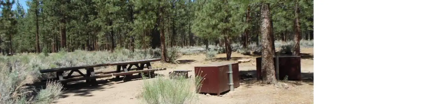 Heart Bar Campground