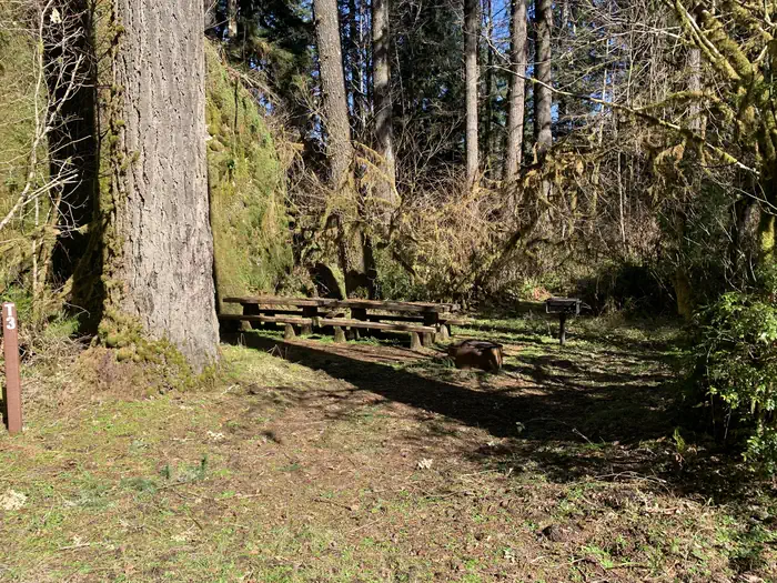 Loon Lake Recreation Site