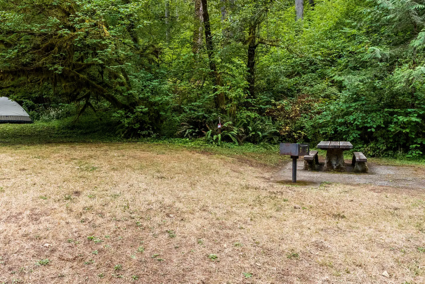 Loon Lake Recreation Site