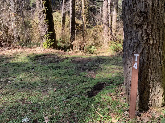 Loon Lake Recreation Site