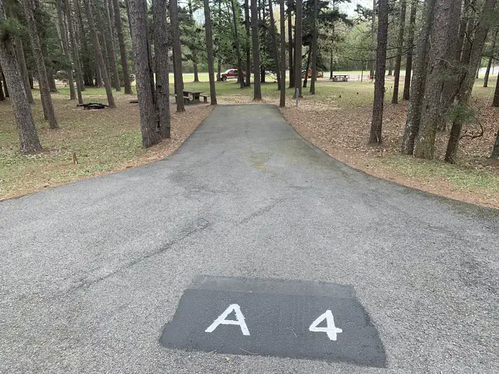 A04