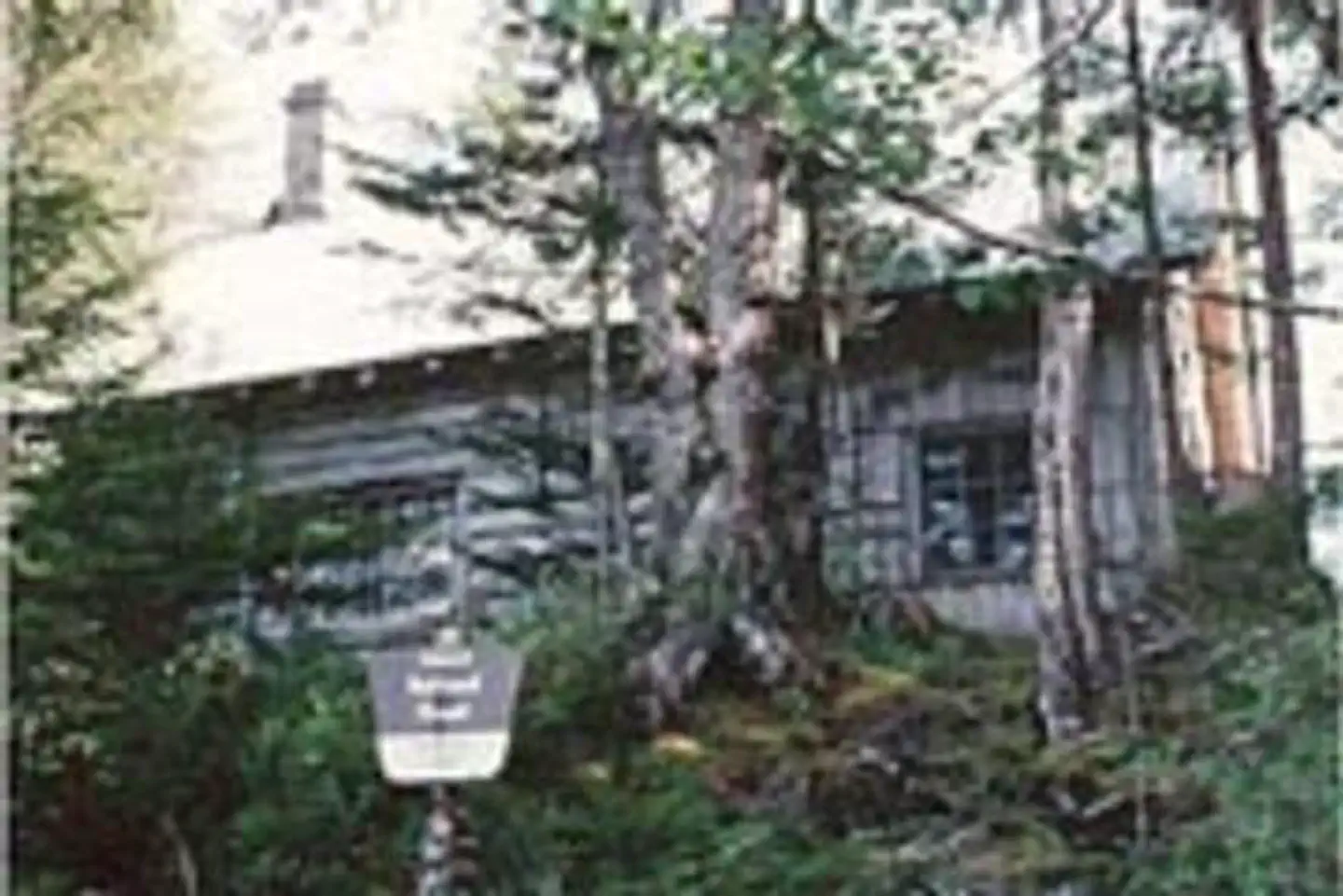 H01