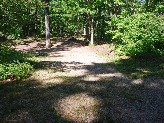 Pete’s Lake Campground