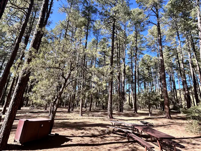 Ponderosa (az)