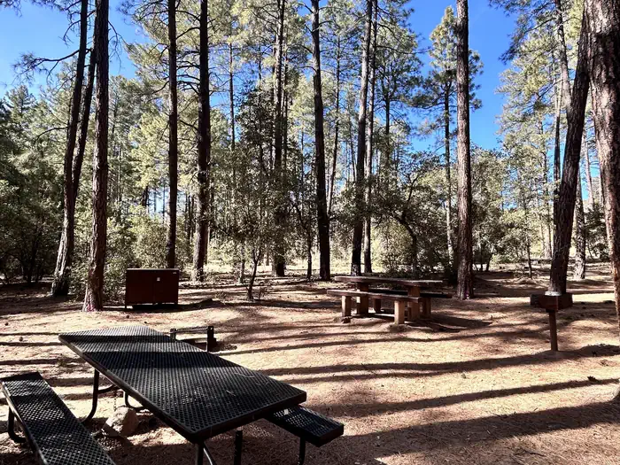Ponderosa (az)