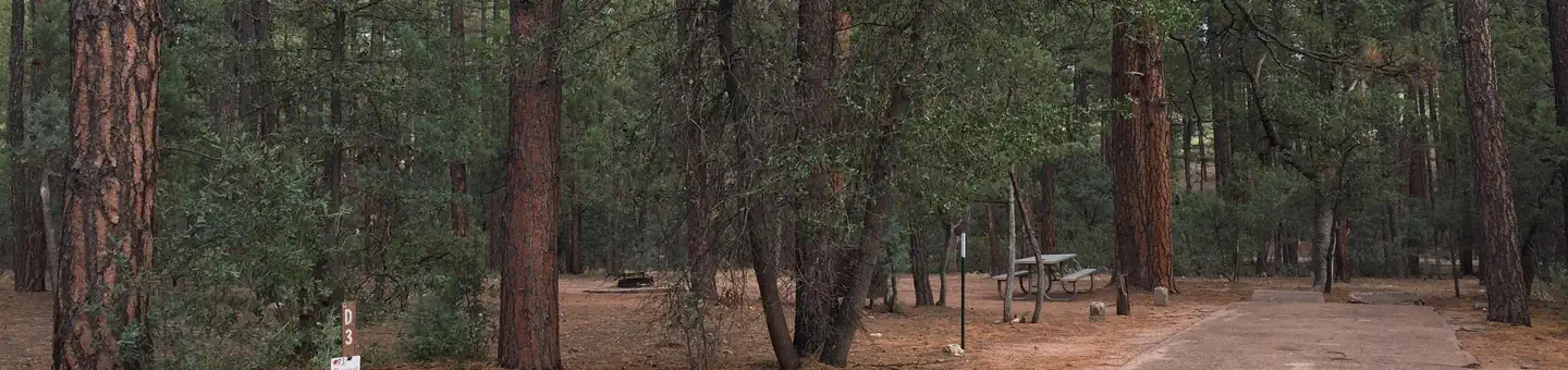 Ponderosa (az)