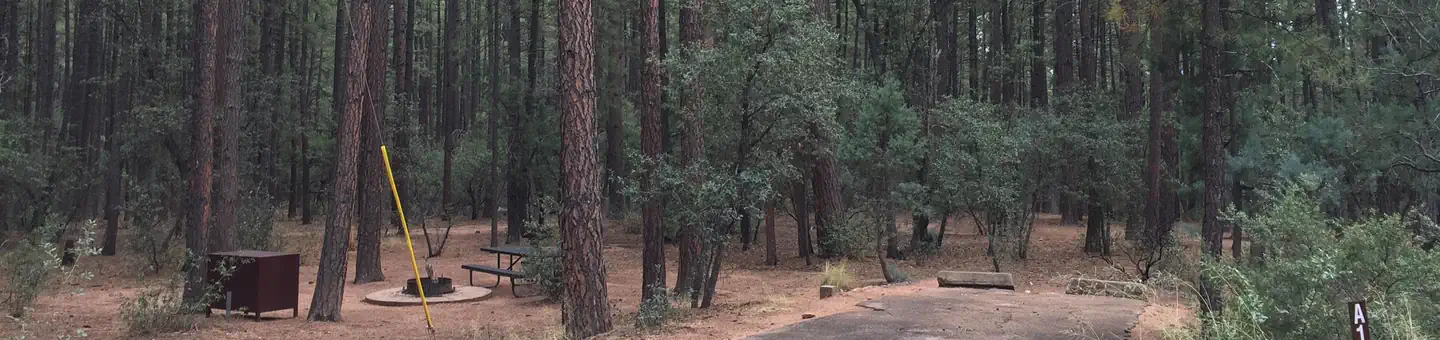 Ponderosa (az)
