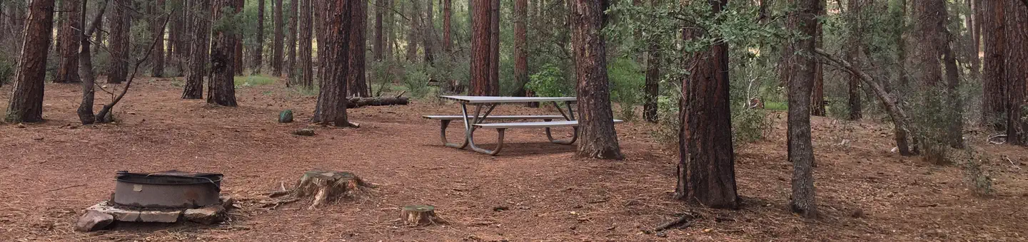 Ponderosa (az)