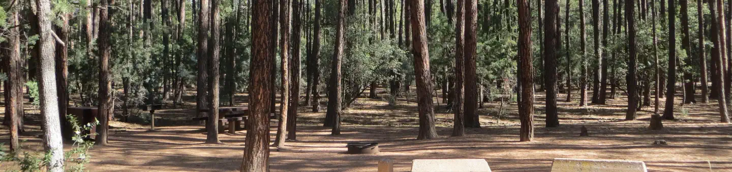 Ponderosa (az)