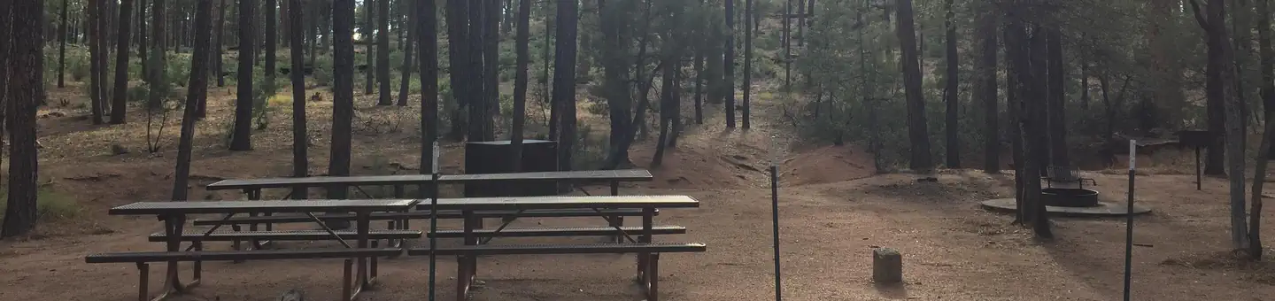 Ponderosa (az)