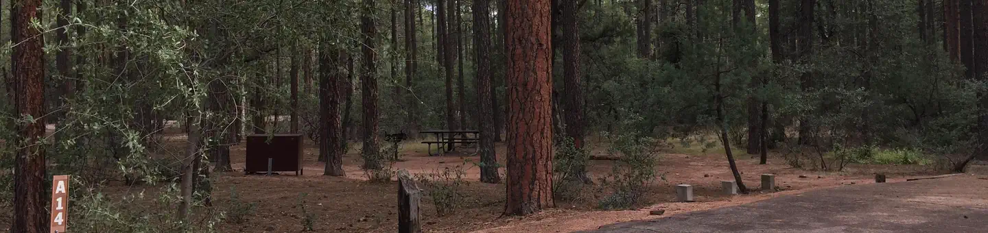 Ponderosa (az)
