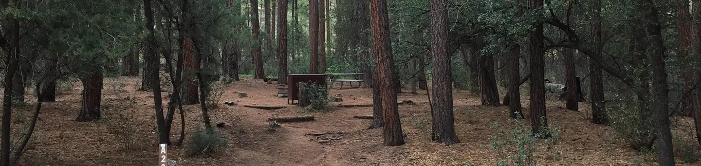 Ponderosa (az)