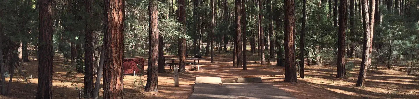 Ponderosa (az)