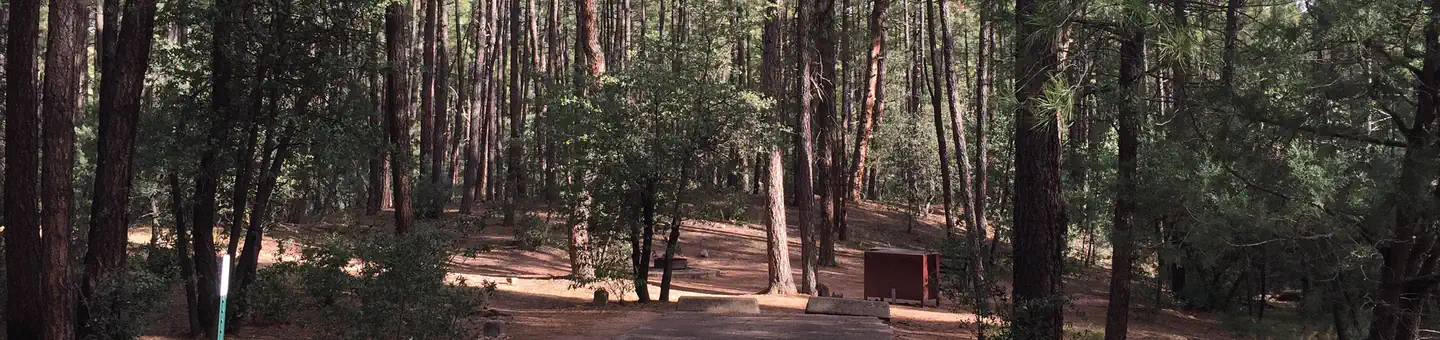 Ponderosa (az)