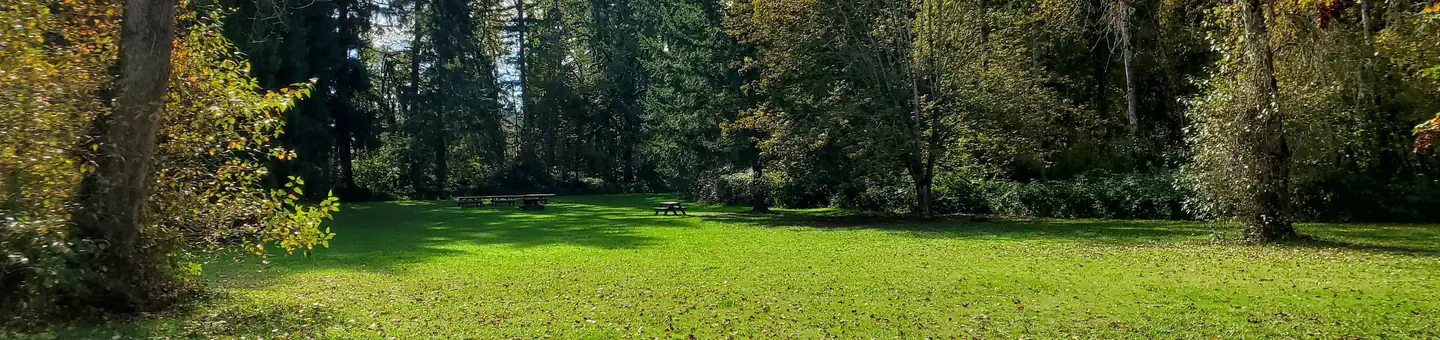 Schwarz Park