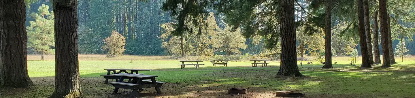 Schwarz Park
