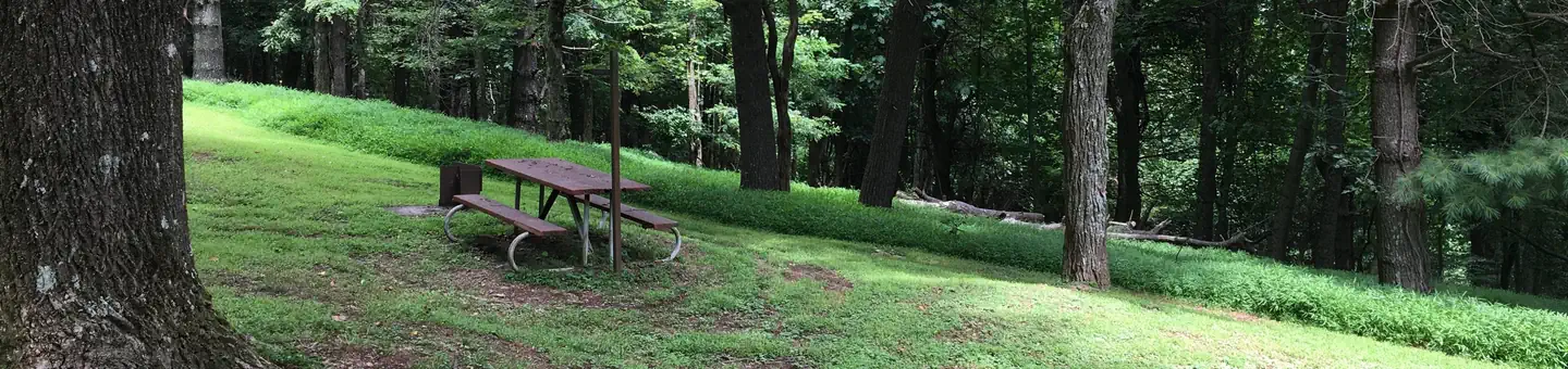 Rocky Knob Campground