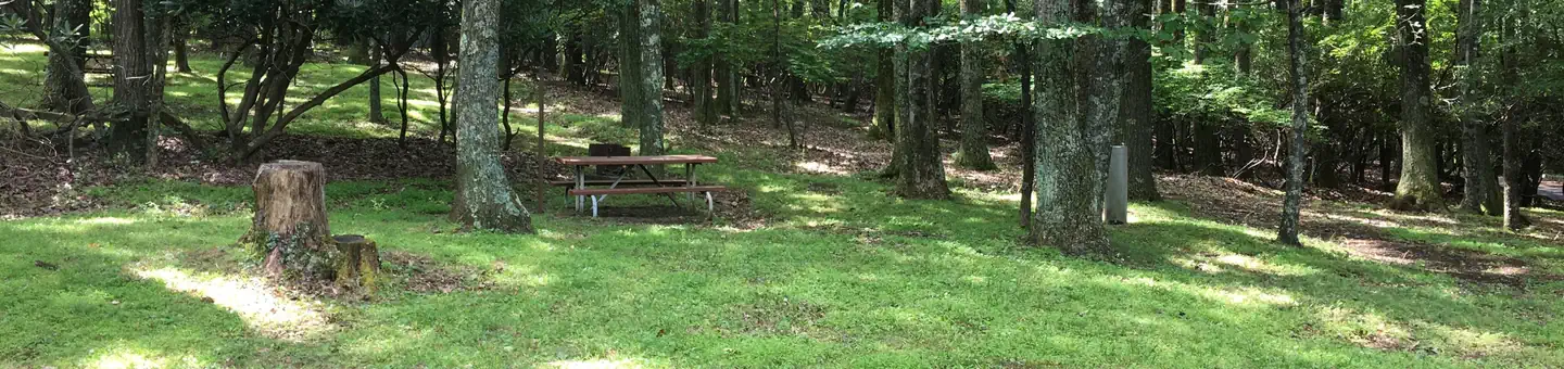 Rocky Knob Campground
