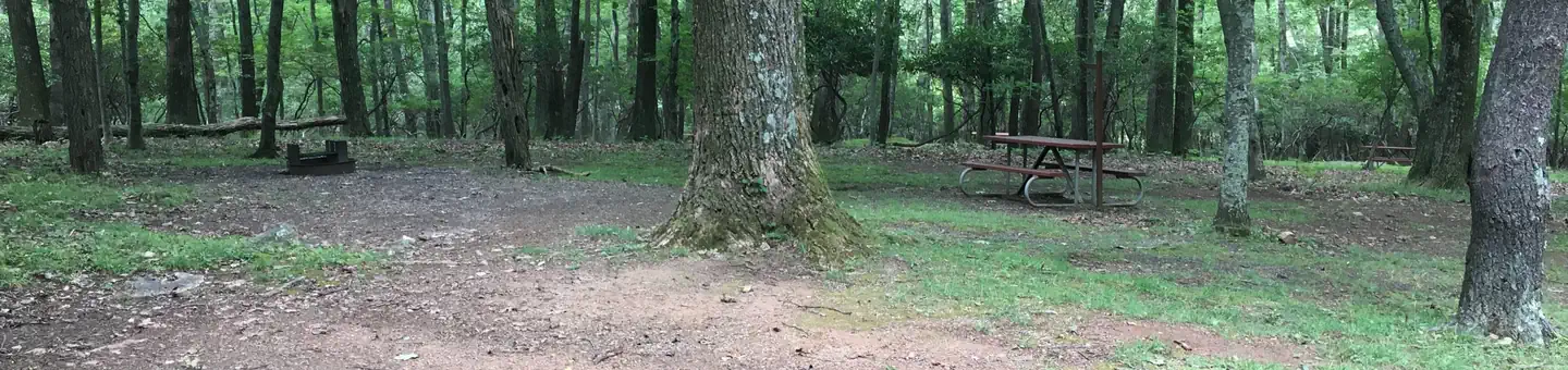 Rocky Knob Campground