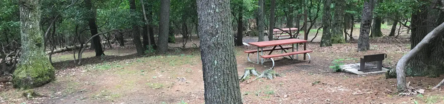 Rocky Knob Campground