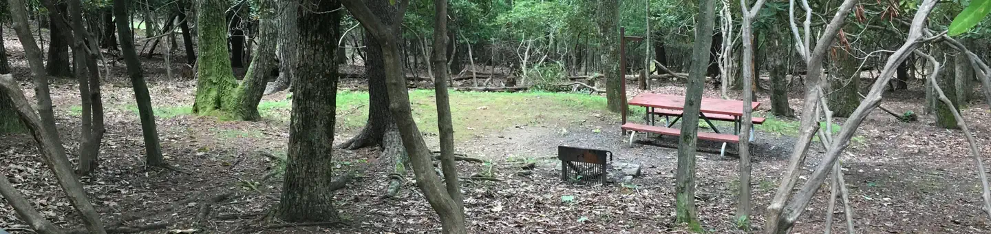 Rocky Knob Campground