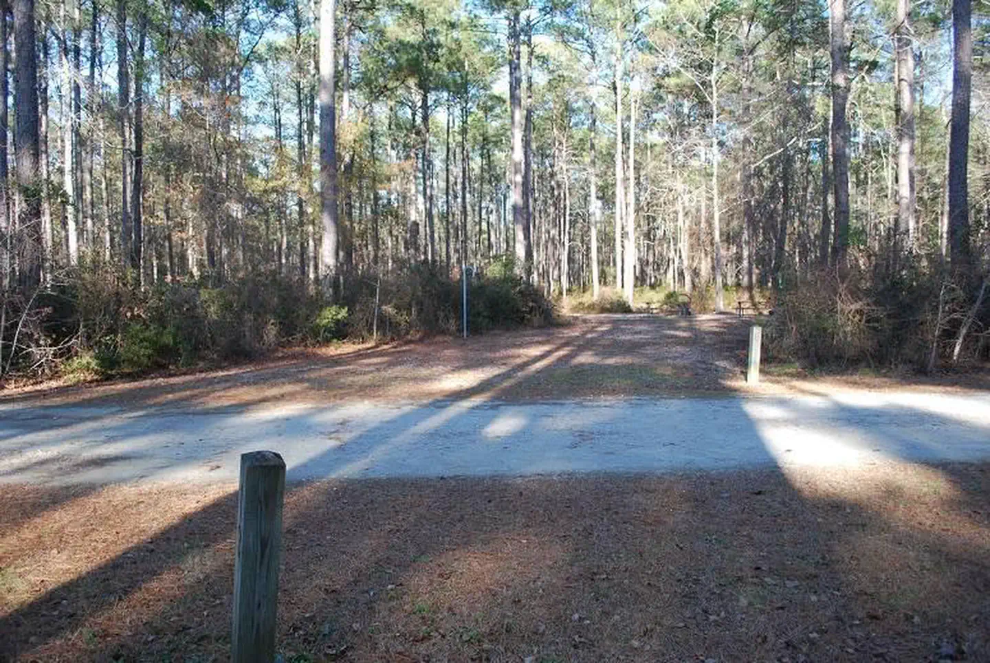 Oyster Point Campground