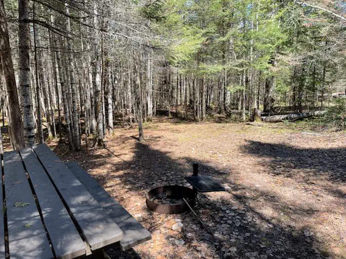 Ninemile Lake Campground