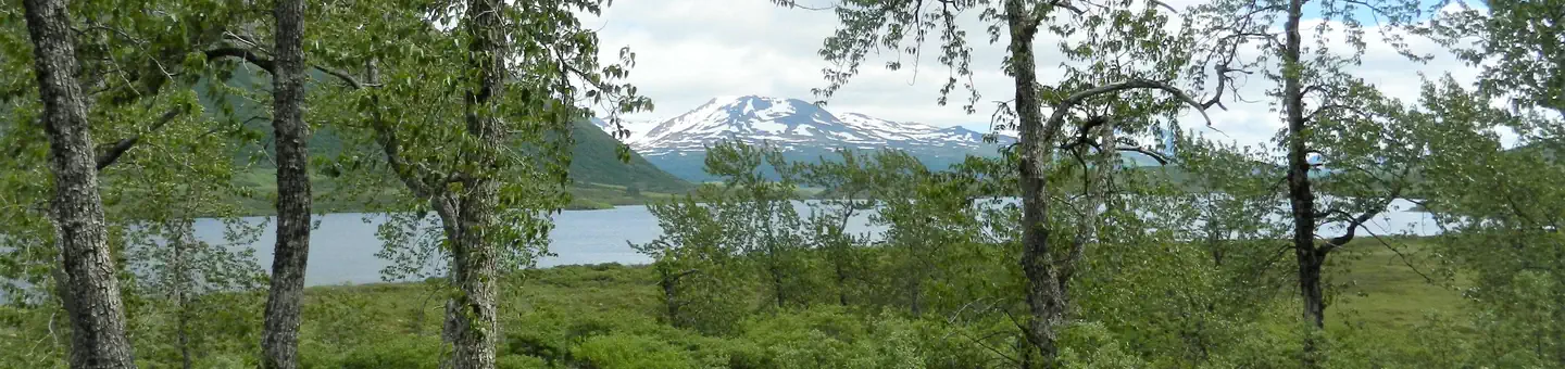 Kodiak National Wildlife Refuge Cabins