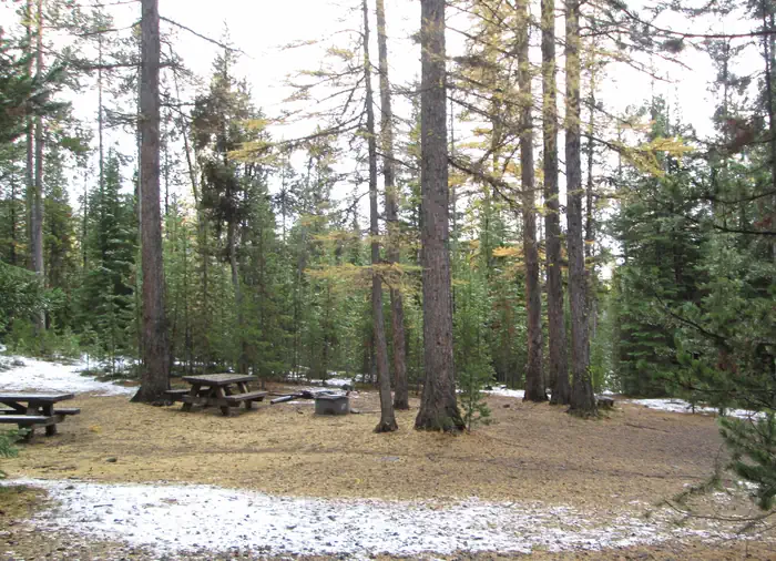 Olive Lake Campground (or)