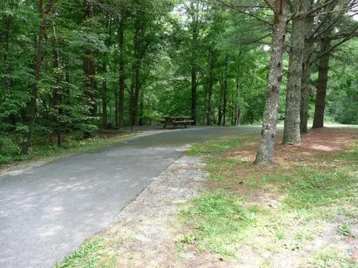 Stony Fork Campground