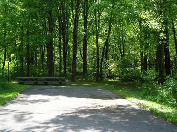 Stony Fork Campground