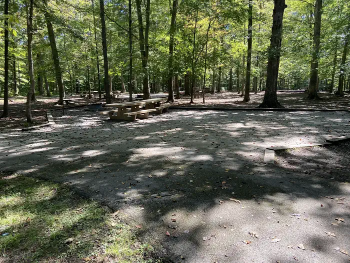 Mammoth Cave Campground