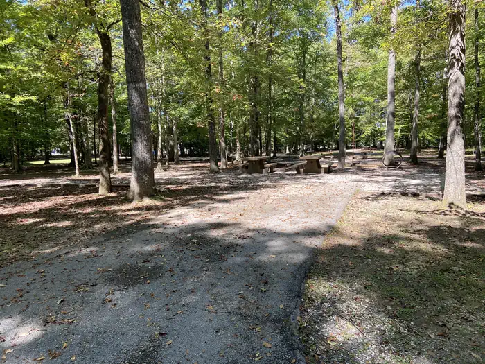 Mammoth Cave Campground