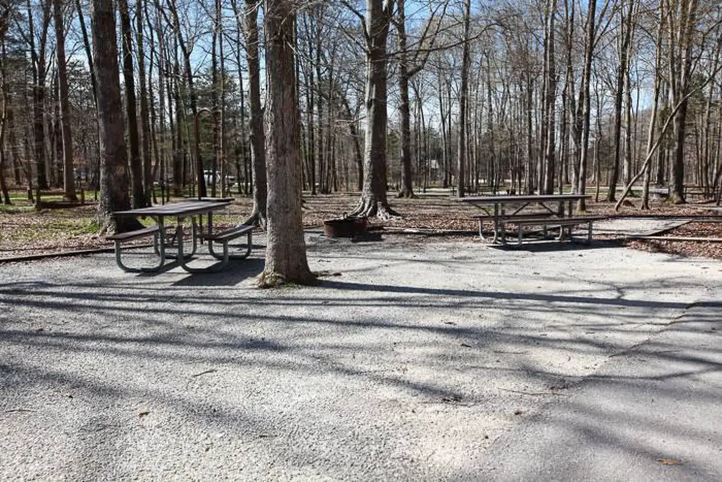 Mammoth Cave Campground