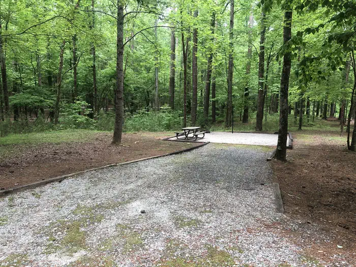 Lake Russell Recreation Area